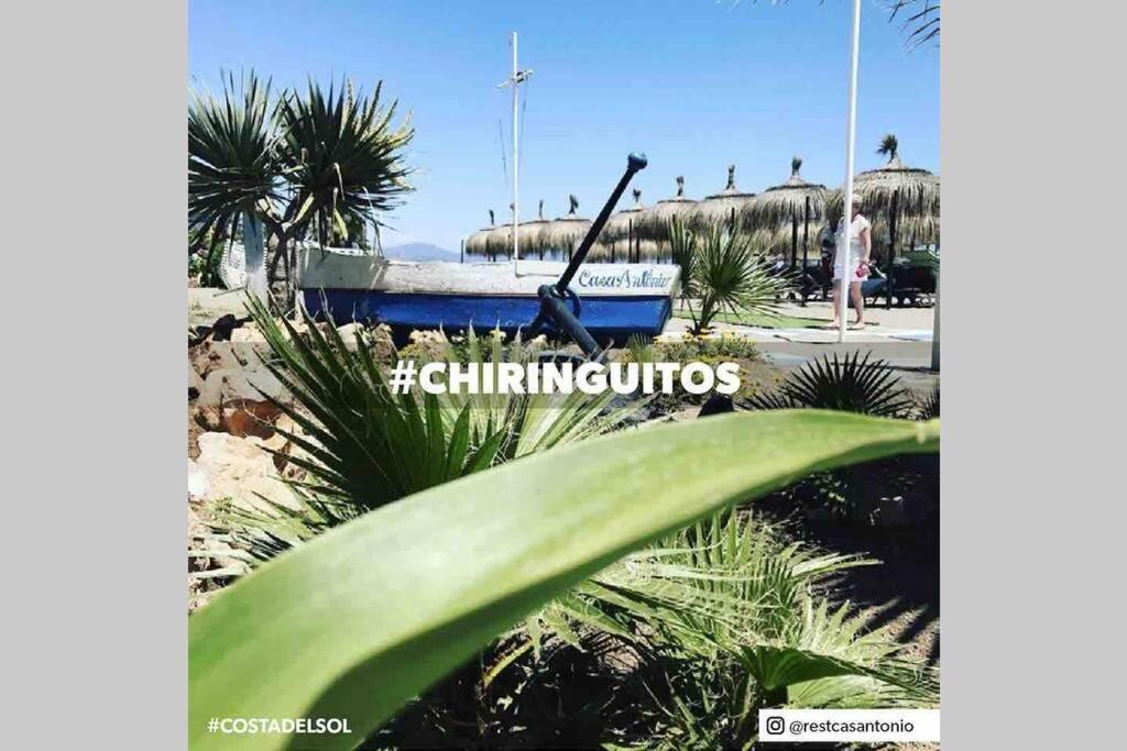 Begonia Studio 119 Torremolinos Dış mekan fotoğraf