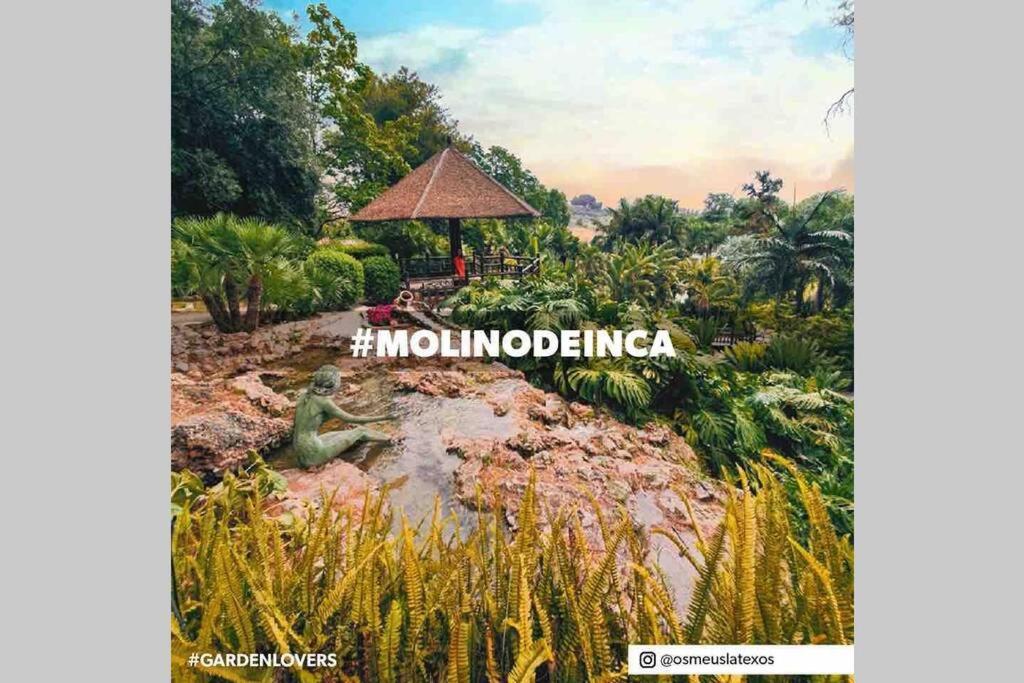 Begonia Studio 119 Torremolinos Dış mekan fotoğraf
